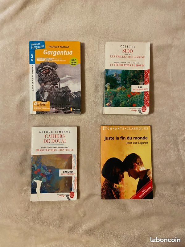 Livres pour le bac de français (image 1)