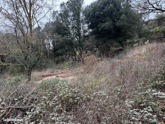Terrain 6290 m² Le Bosc (image 6)
