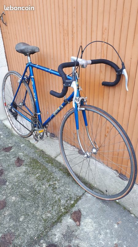 Vtt et demi ourses (image 1)