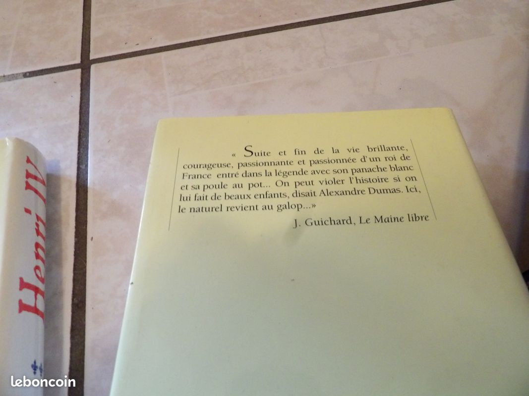 Henry 4 de pierre peyramaure (image 5)