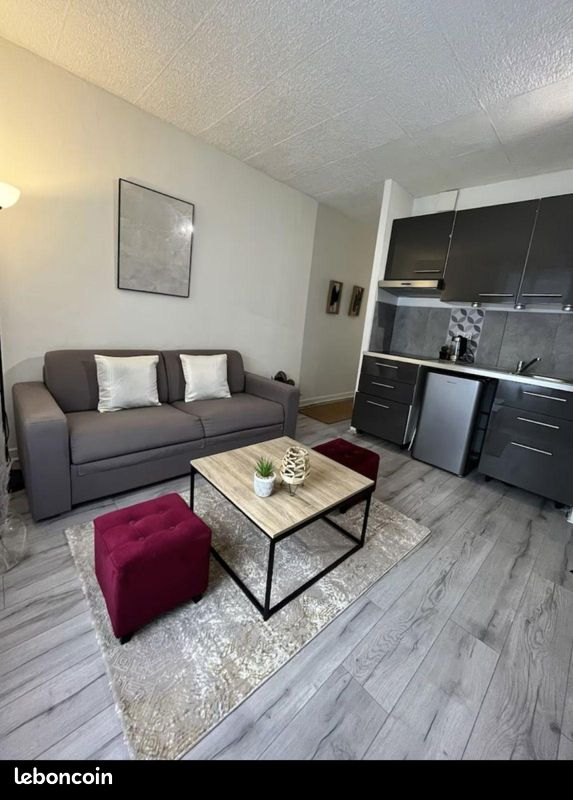 Appartement 1 pièce 60 m² · à Saint-Étienne · 60 m² · 590 €/mois