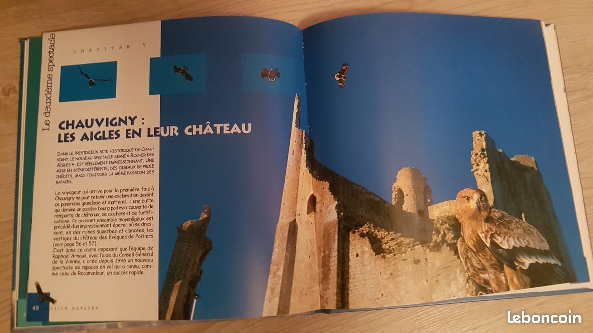 RAPACES de Rocamadour (image 2)