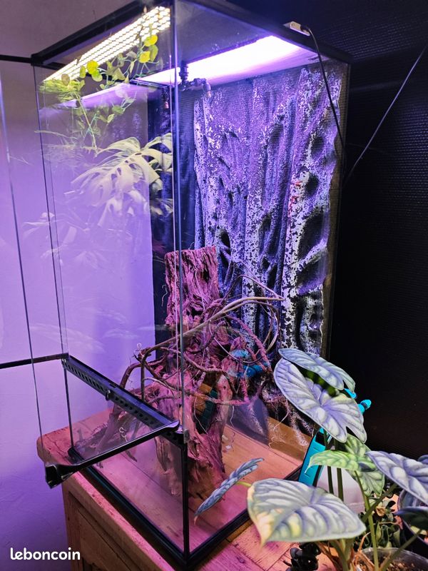 Terrarium 45x45x90 (image 3)