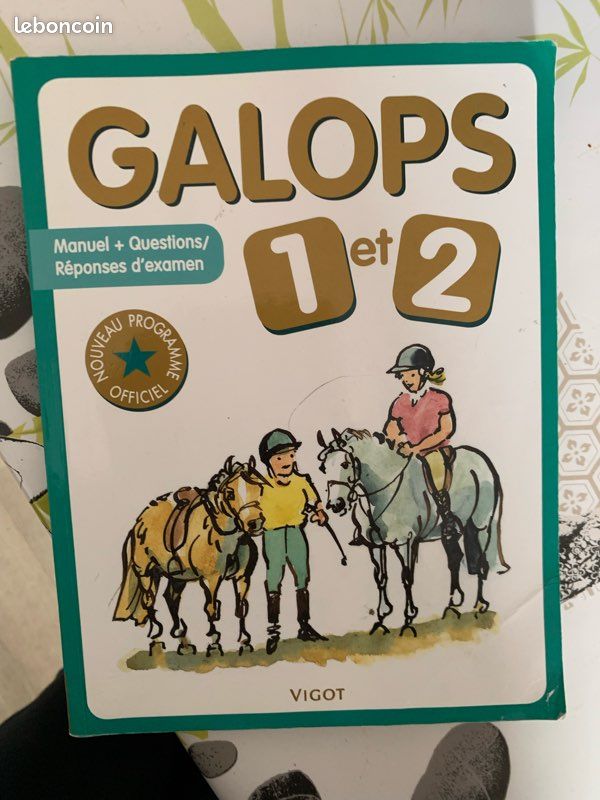 Ensemble d’affaires d’équitation + bombe/casquettes (10/12 ans) (image 8)