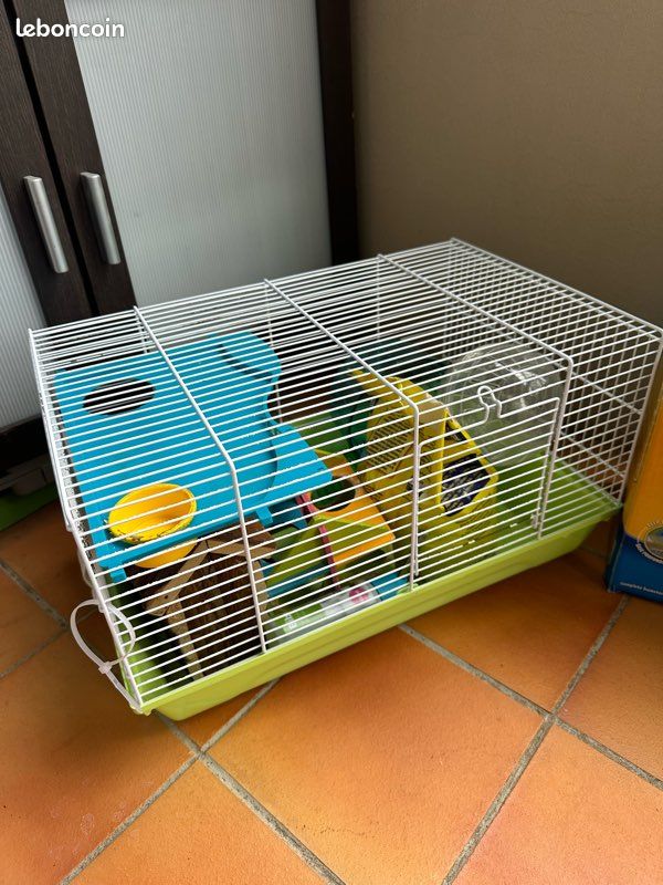 Lot 2 cages hamsters (image 2)