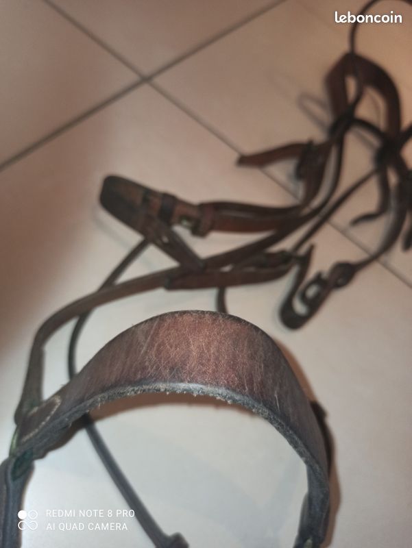 Filet complet sans mors en cuir véritable pour cheval (image 2)