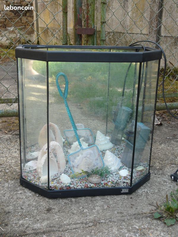 Aquarium (image 1)
