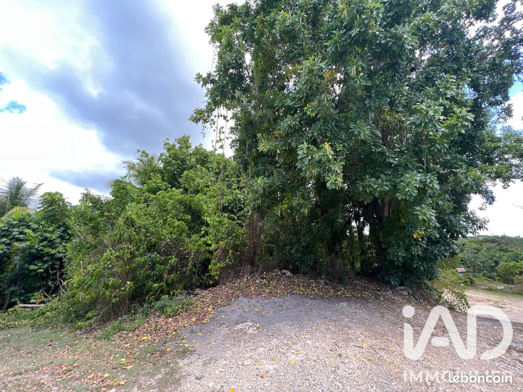 Terrain 532 m² · à Le Gosier · 532 m² · 100 000 €