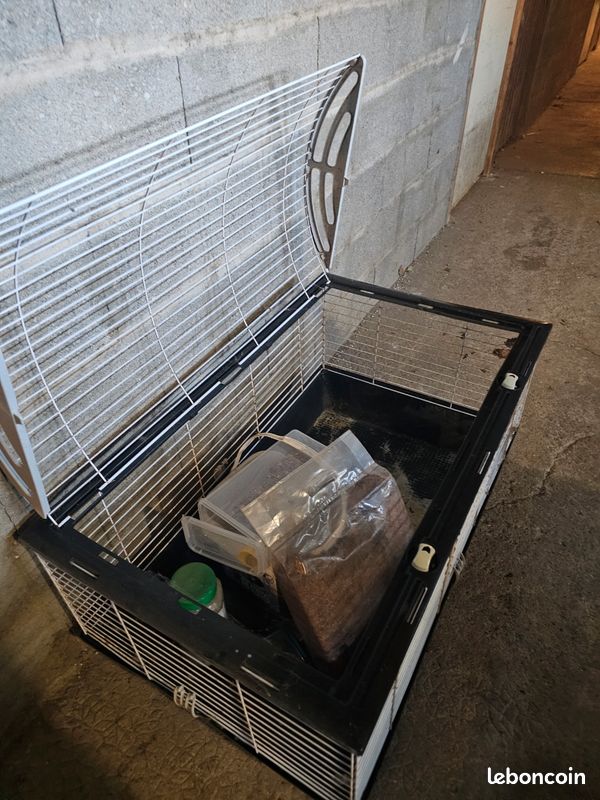Cage rongeurs et accessoires (image 3)