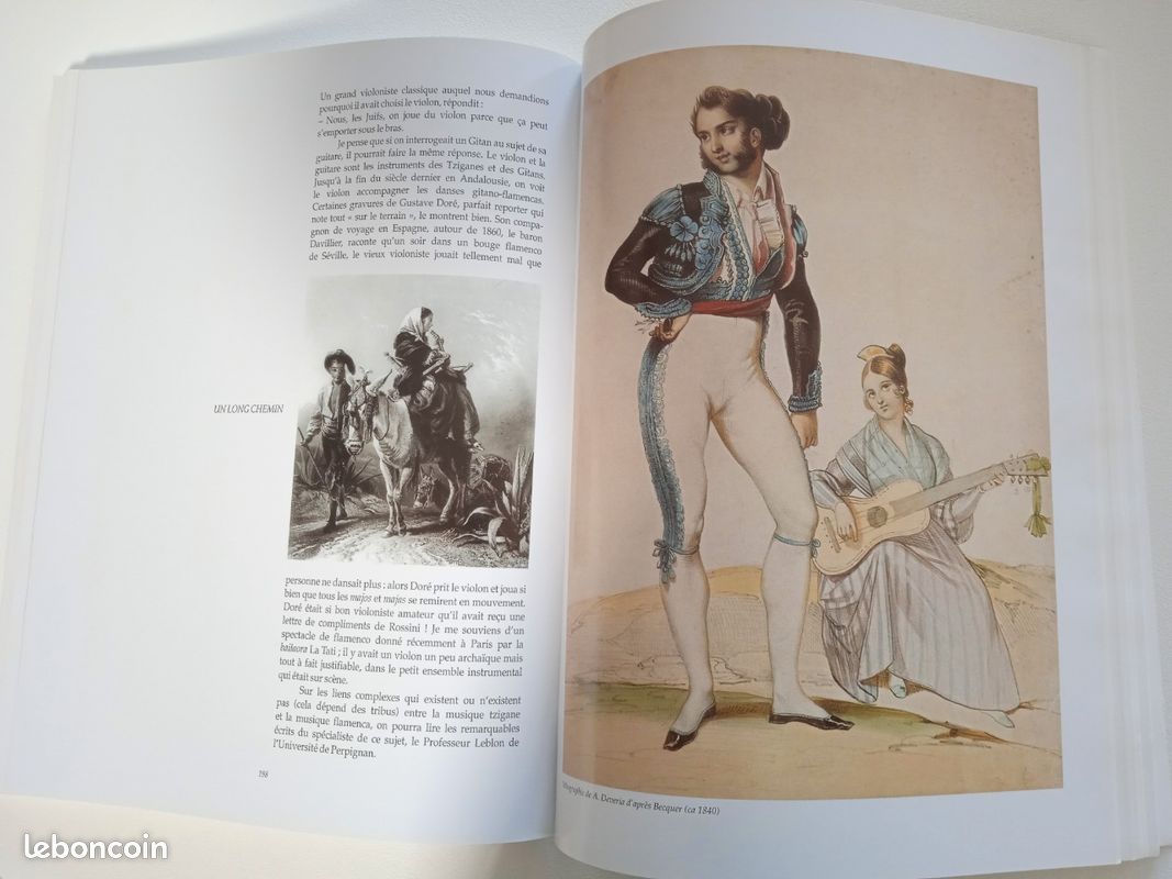Livre le flamenco (image 5)