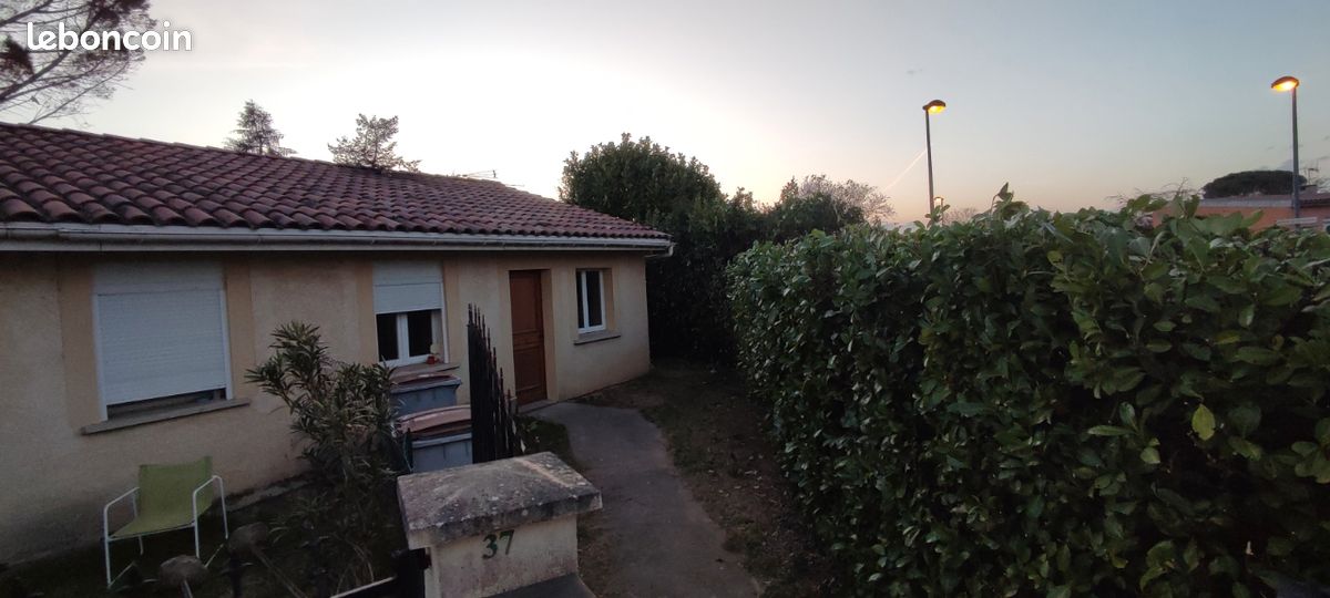 Maison a louer albi - Surfyn