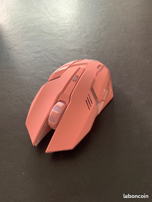 Souris pour gamer (image 1)