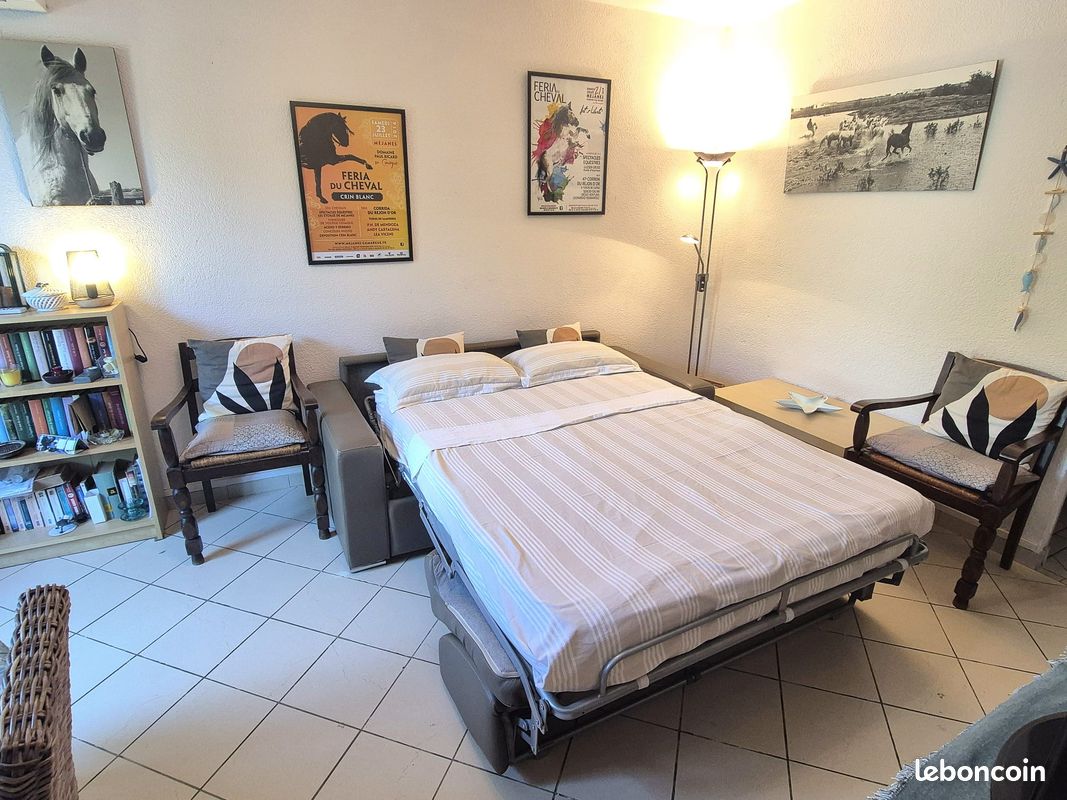 Appartement plein pied avec grande cour privative végétalisée au calme et au centre des Saintes (image 8)