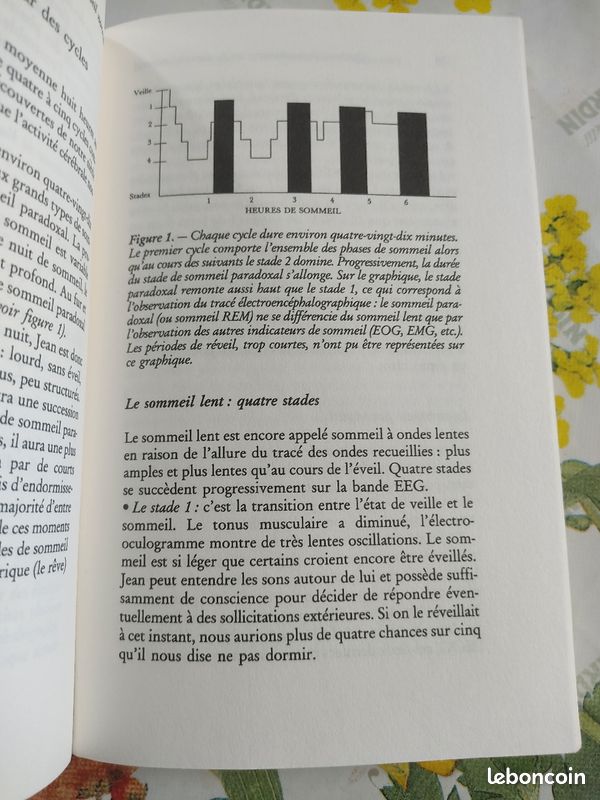 Dormir n'est plus un rêve (image 8)