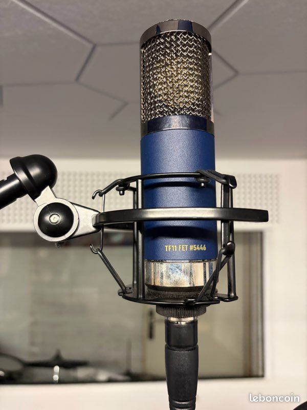 Micro de studio Telefunken TF11 FET condensateur microphone vocal FET Carnhill (image 1)