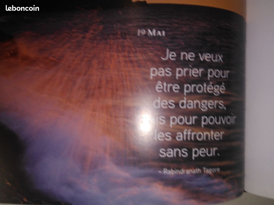 Une annee de bonheur (image 8)