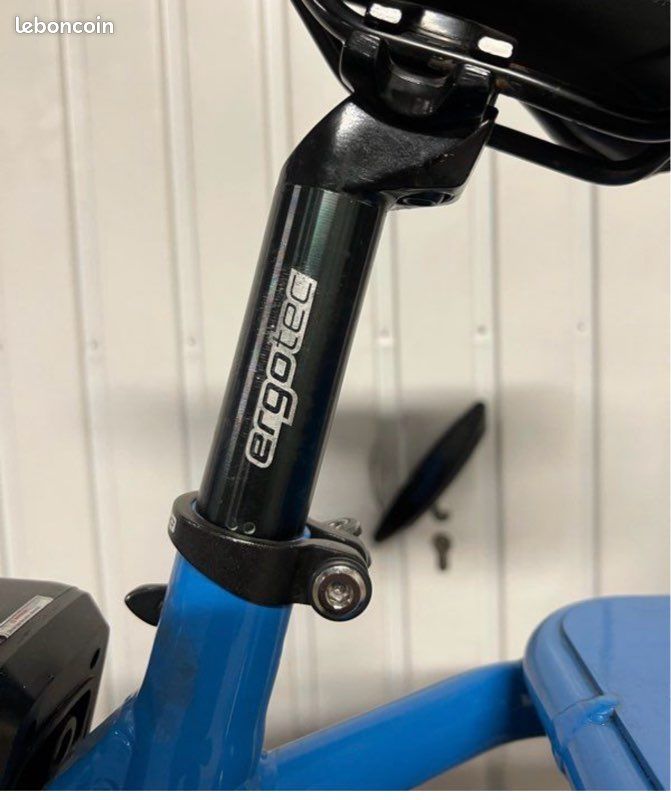 Vélo électrique cargo fatbike (image 6)