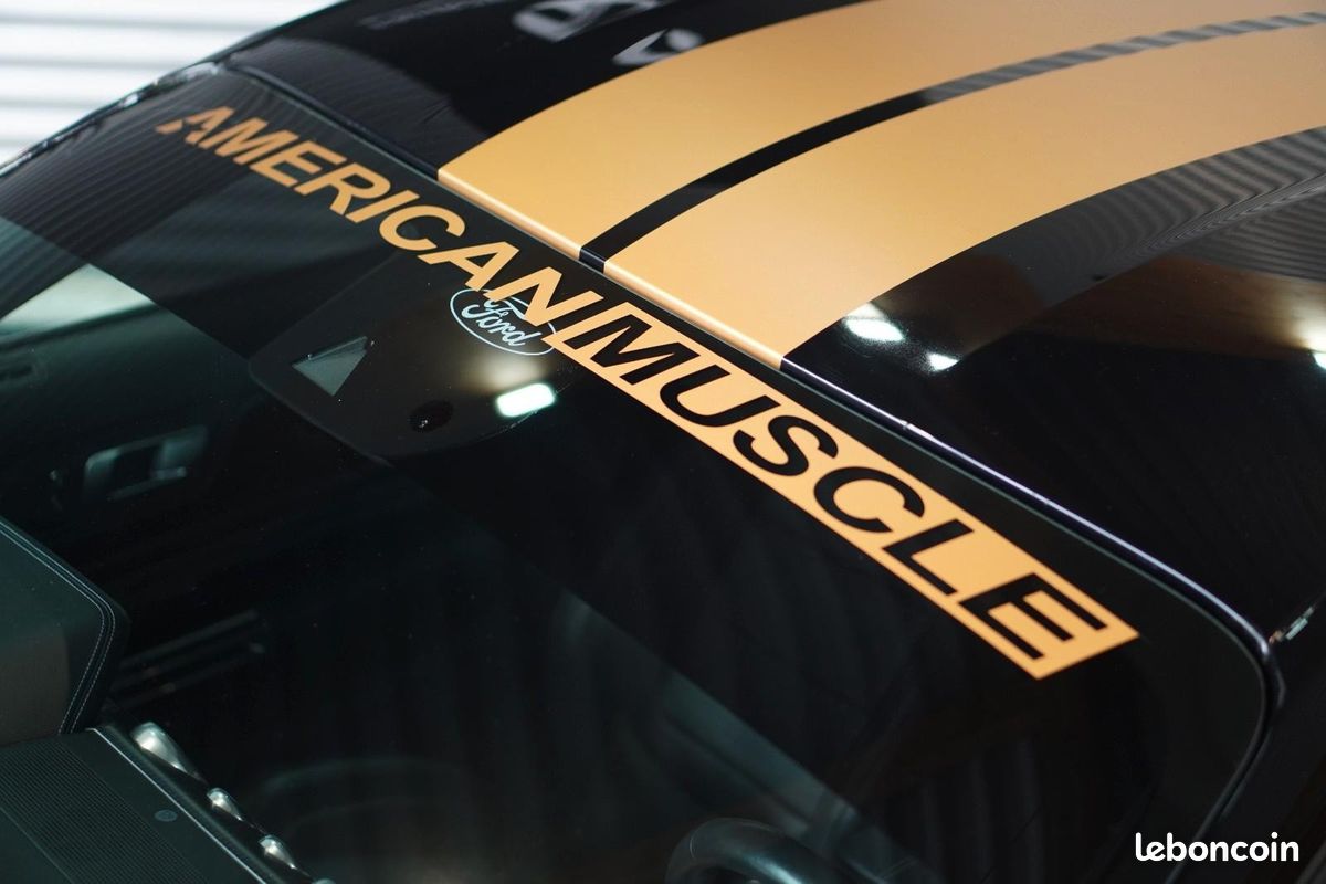 FORD Mustang FASTBACK 5.0 V8 KIT SHELBY GT 500 (image 14)
