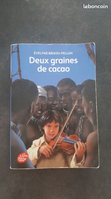 Deux graines de cacao (image 1)
