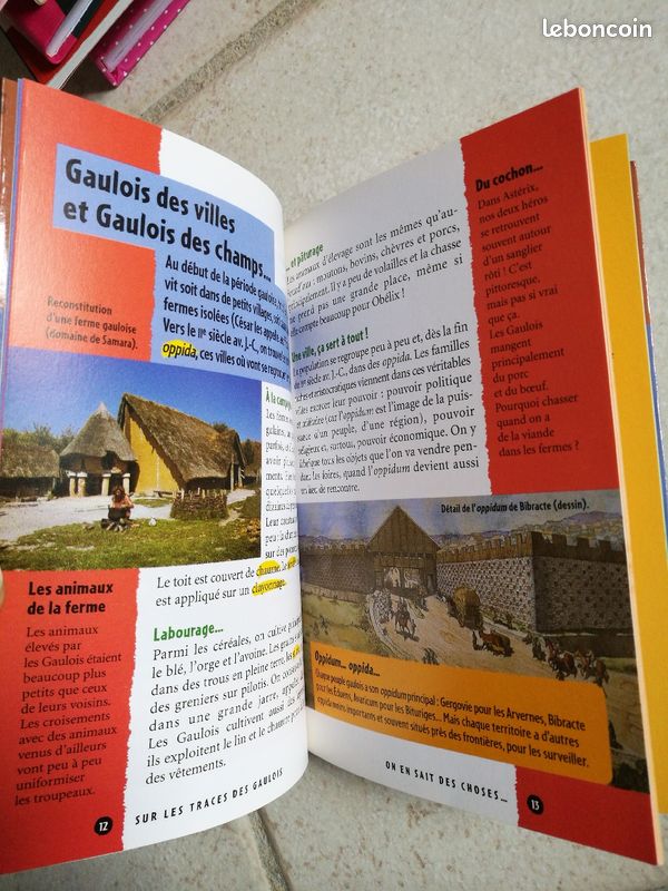 Sur les traces des Gaulois (image 3)