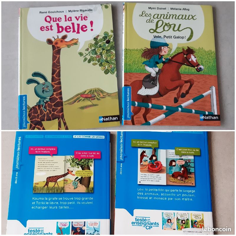 Lot de 2 livres collection 1eres lectures (image 1)