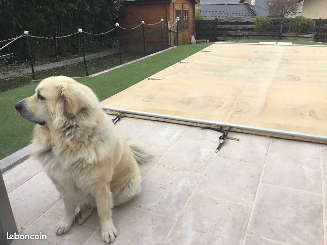 Bâche à barre pour piscine 6x3m (image 3)