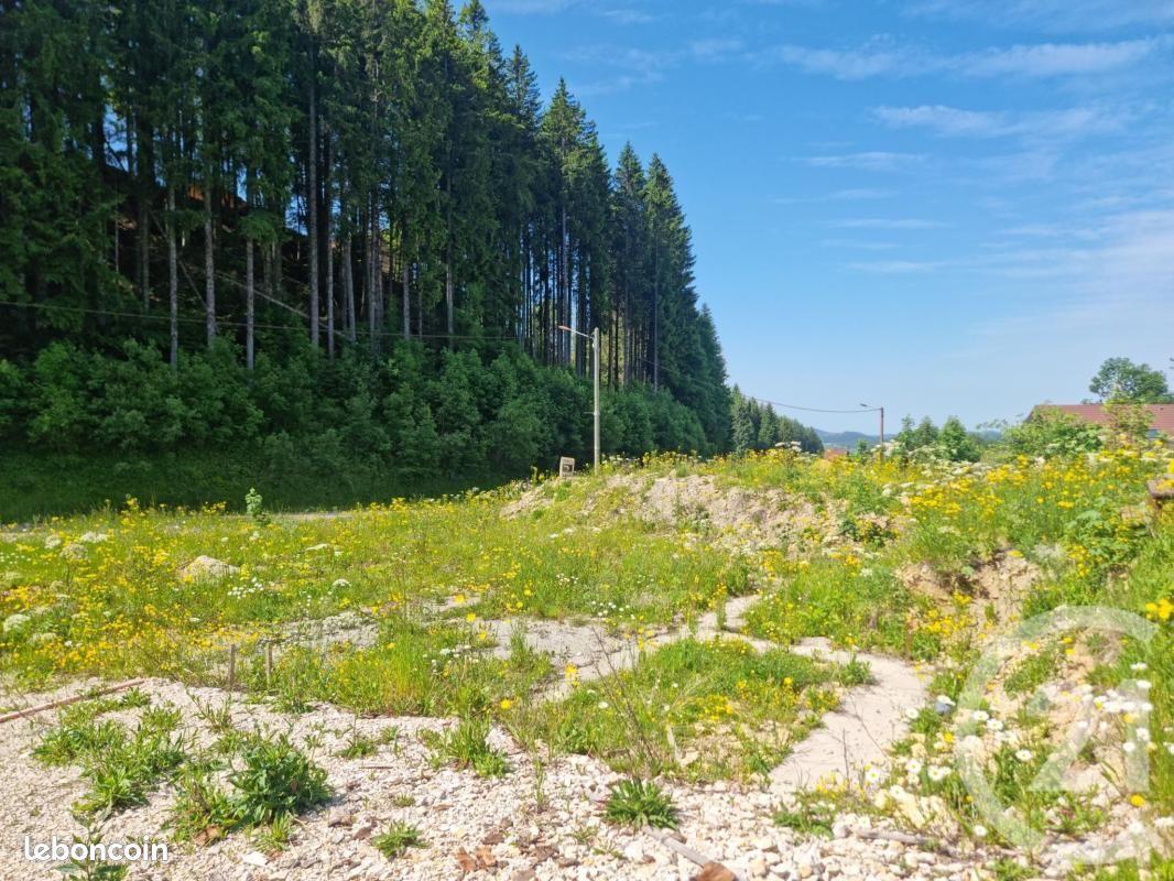 Terrain 919 m² · à Lamoura · 99 000 €