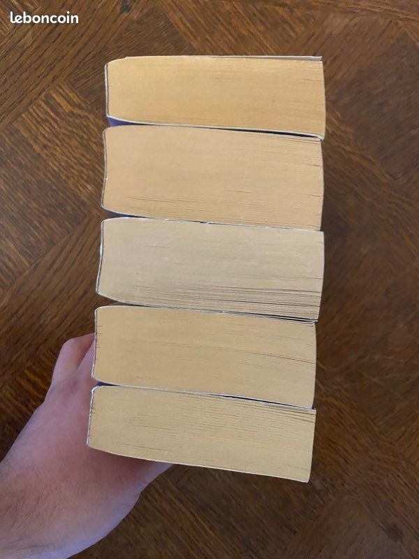 Lot de livres symphony of ages Elizabeth Haydon (image 6)