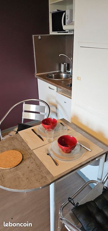 Particulier Appart/21m² Talence/Kedge - Talence 33400 (image principale 0)