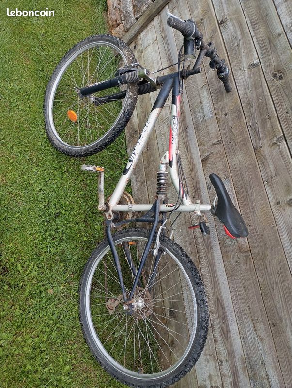 Vélo enfant dont 1 adulte bon état roule bien (image 3)