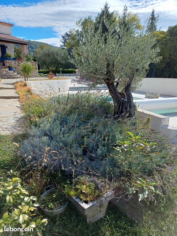 Location chambre & cuisine. Piscine privée pour 2 voyageurs Parc National des Cévennes (image 12)