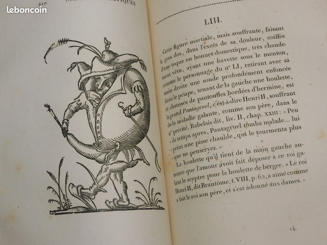 OEUVRES DE RABELAIS EN NEUF VOLUMES, Dalibon 1823 belles reliures gravures Pantagruel Gargantua contes drôlatiques Renaissance (image 14)