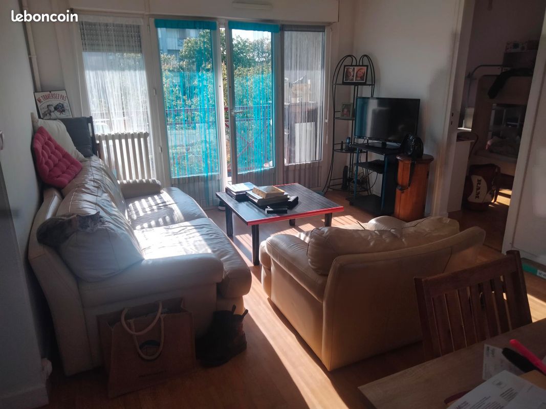 Canape + fauteuil (image 1)