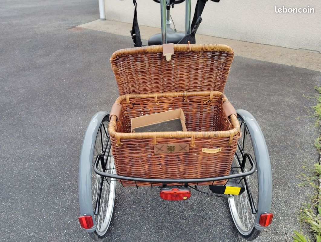 Tricycle avec assistance électrique (image 3)