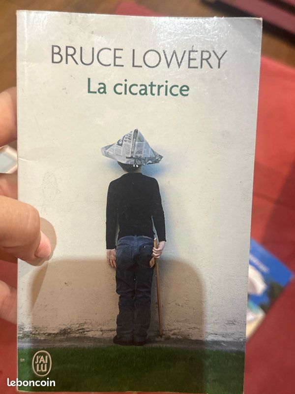 Livre à vendre voir le lot photos (image 10)
