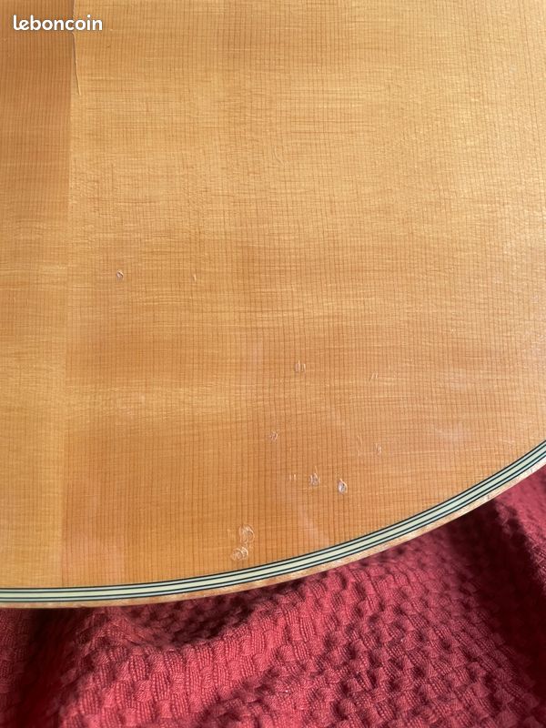 Guitare Folk Acoustique Cort Custom Jumbo (type Martin) - Palissandre Massif (image 10)