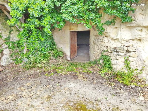 Cave 1 pièce 44m²