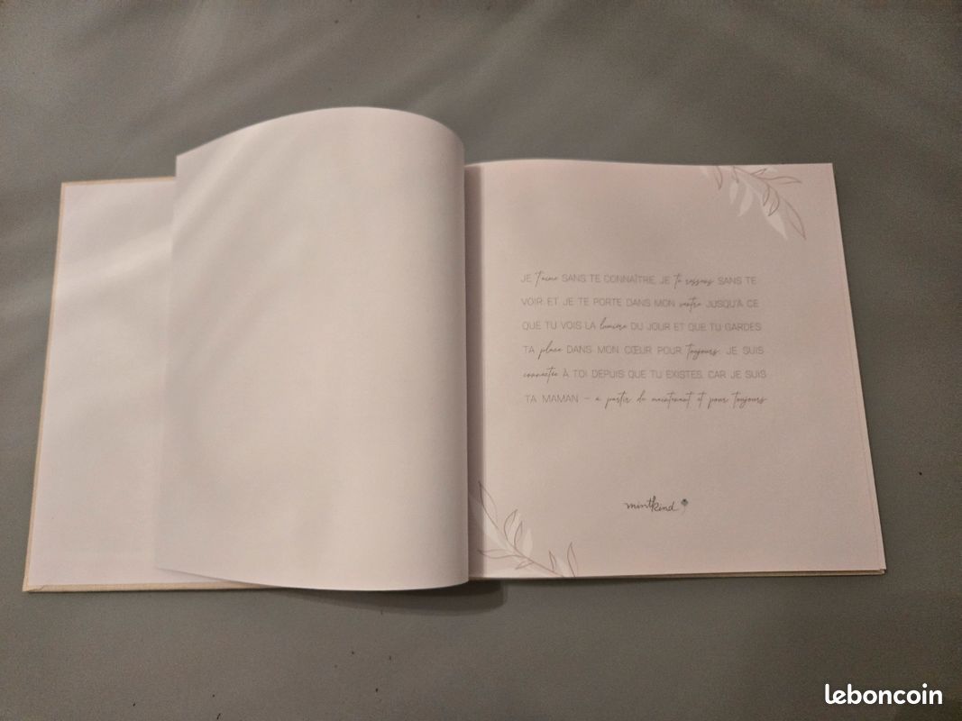 Album de grossesse (image 2)
