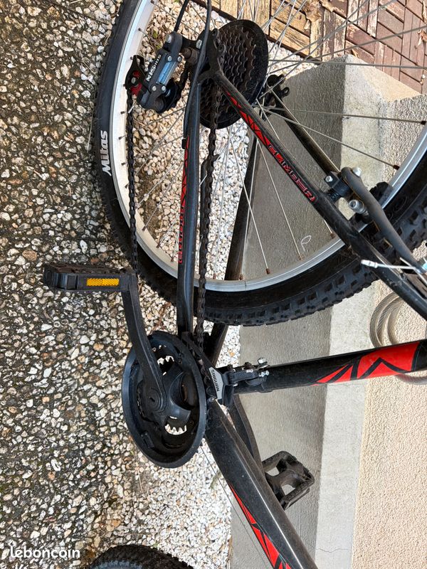 VTT moma (image 4)