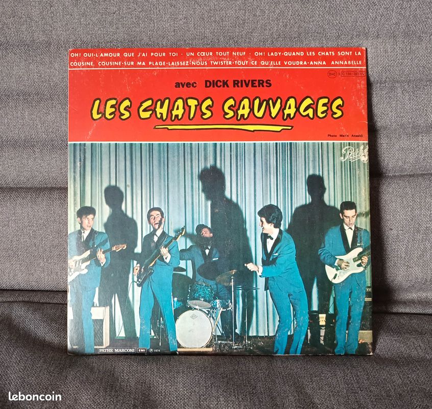Disque vinyle double 33 T des "Chats Sauvages" éd. 1974 (image 2)
