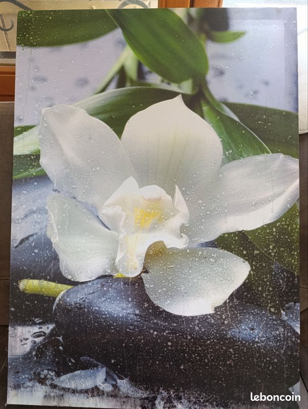 Cadre avec le dessin d'une orchidée blanche posée sur des galets avec des feuillages (image 1)