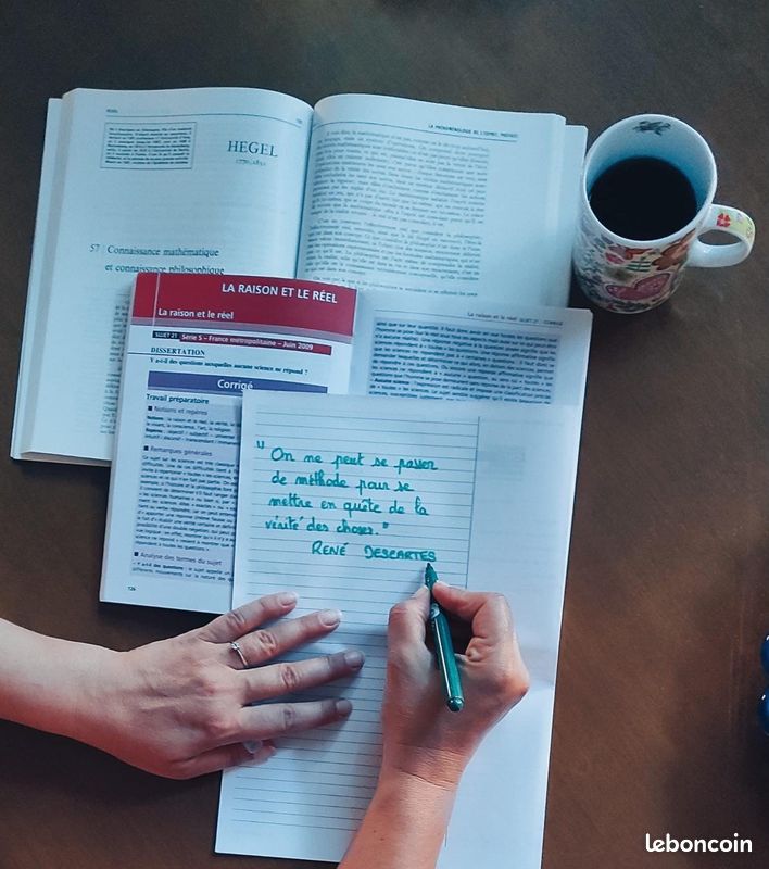 Cours particuliers en Philosophie/HLP et coaching scolaire (image 3)