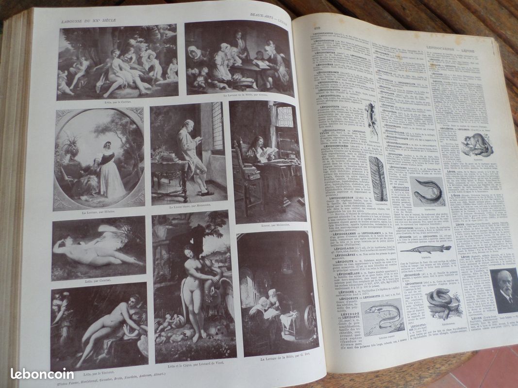 Dictionnaires Larousse anciens (image 3)