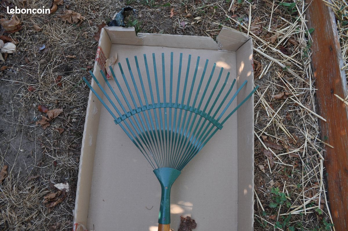 Balai pour gazon et feuilles mortes (image 2)