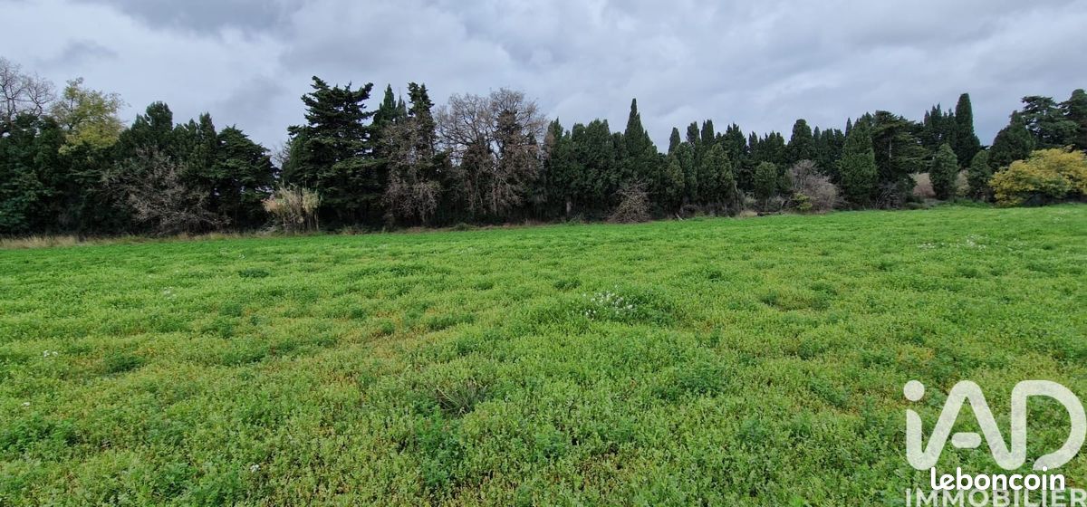 Terrain 329 m² Pézilla-la-Rivière (image 6)