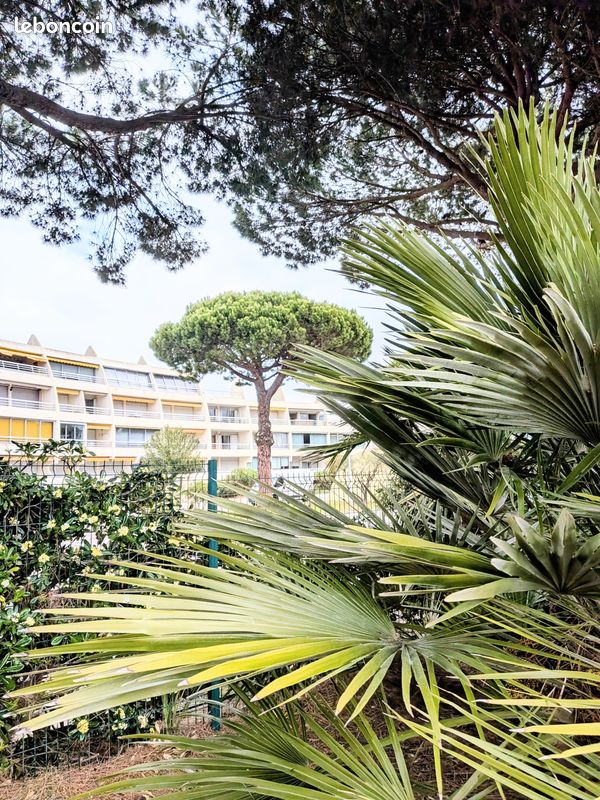 Appartement 2 pièces 32 m² · à Le Grau-du-Roi · 32 m² · 210 000 €