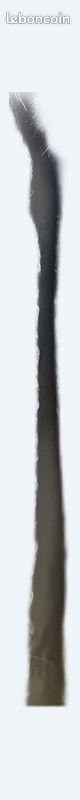 Manteau Astrakan (image 1)