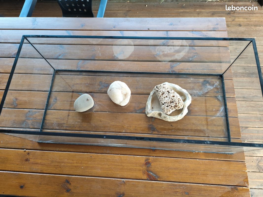 Terrarium (image 1)