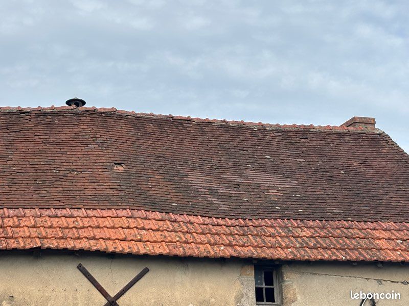 Tuiles plates ancienne (image 2)