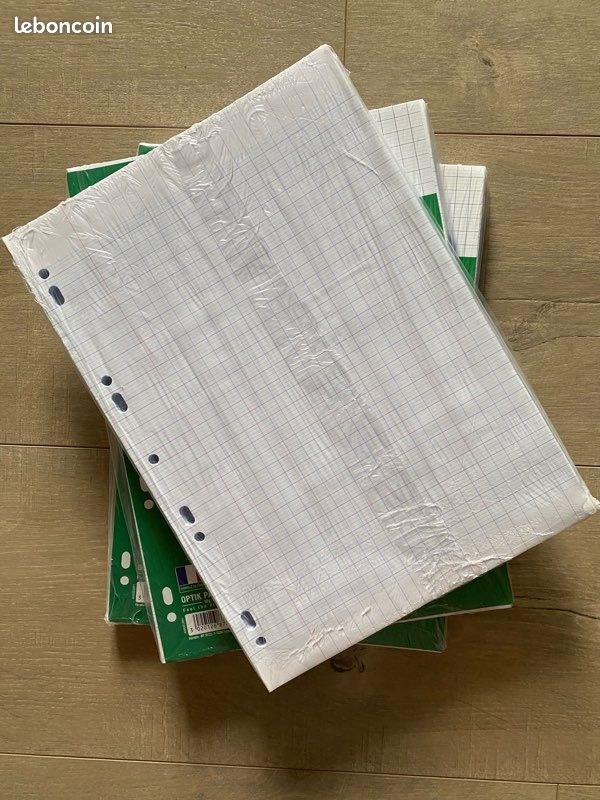 Lot copies doubles perforées grand carreaux - Oxford (image 2)